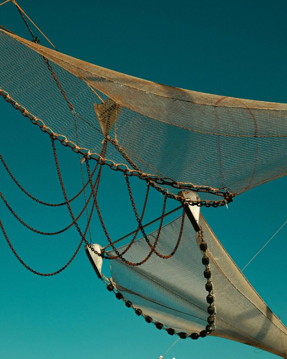 willy-the-wizard-IALqEJMSSdc-unsplash